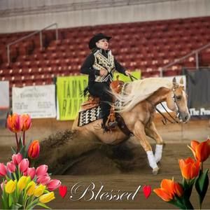 Meet your Posher, Tracy